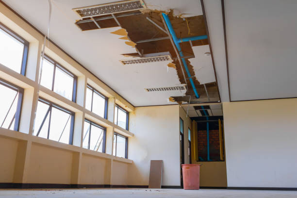 Best Basement water damage restoration  in Frederick, OK