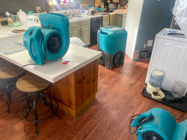 Best Local water damage restoration  in Frederick, OK