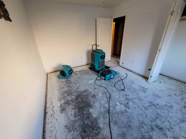 Best Local water damage restoration  in Frederick, OK