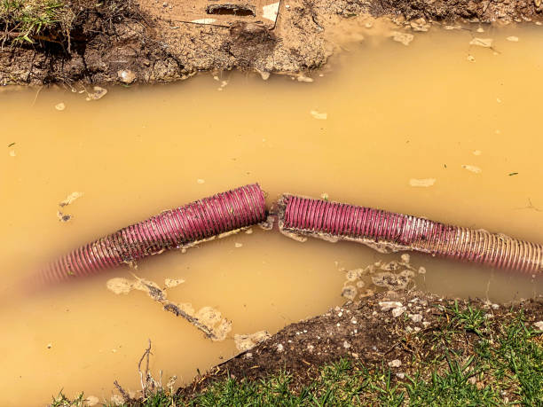 Best Professional water damage repair  in Frederick, OK