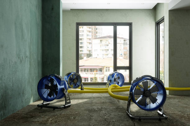 Best Basement water damage restoration  in Frederick, OK
